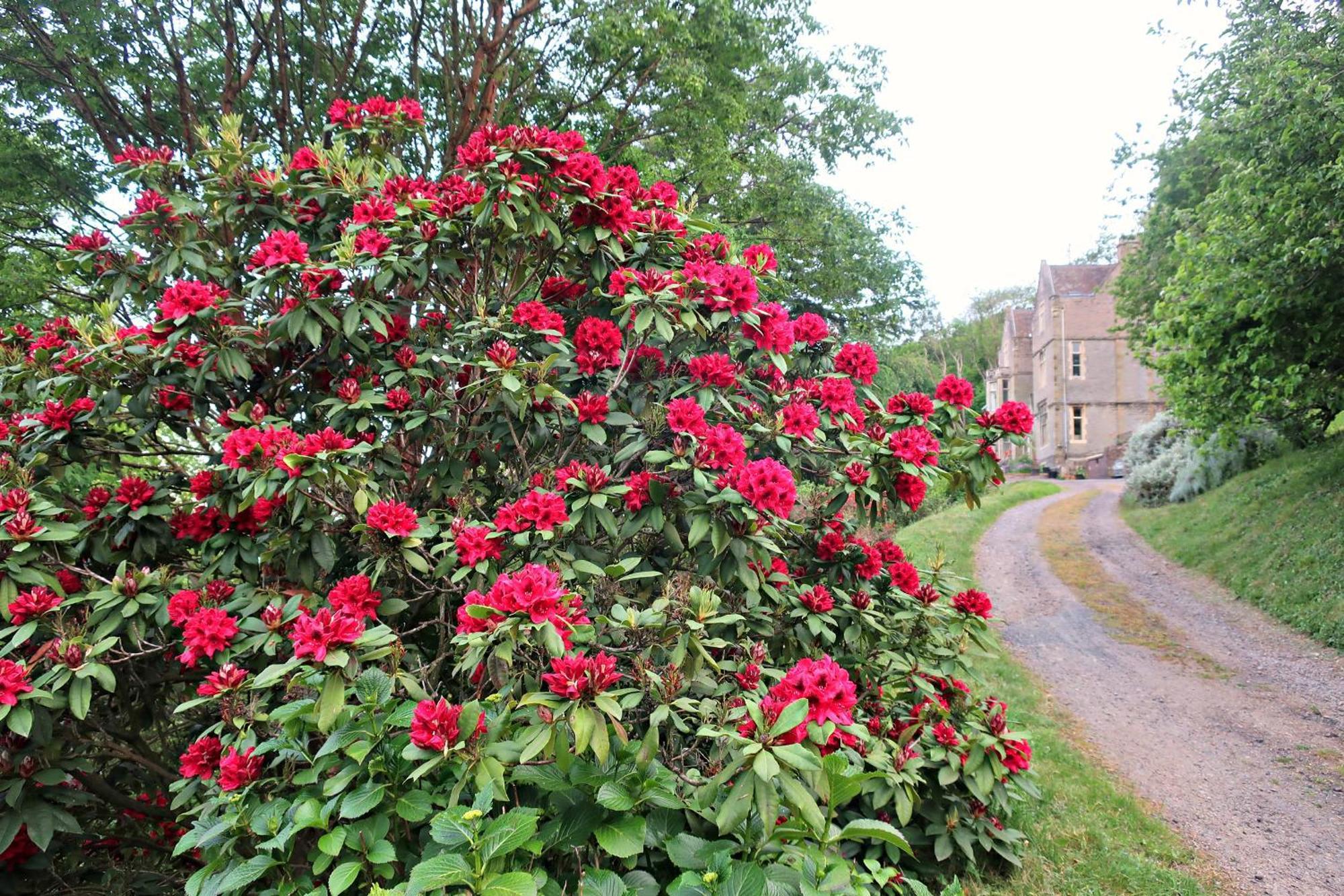 Haslington House Daire Malvern Wells Dış mekan fotoğraf